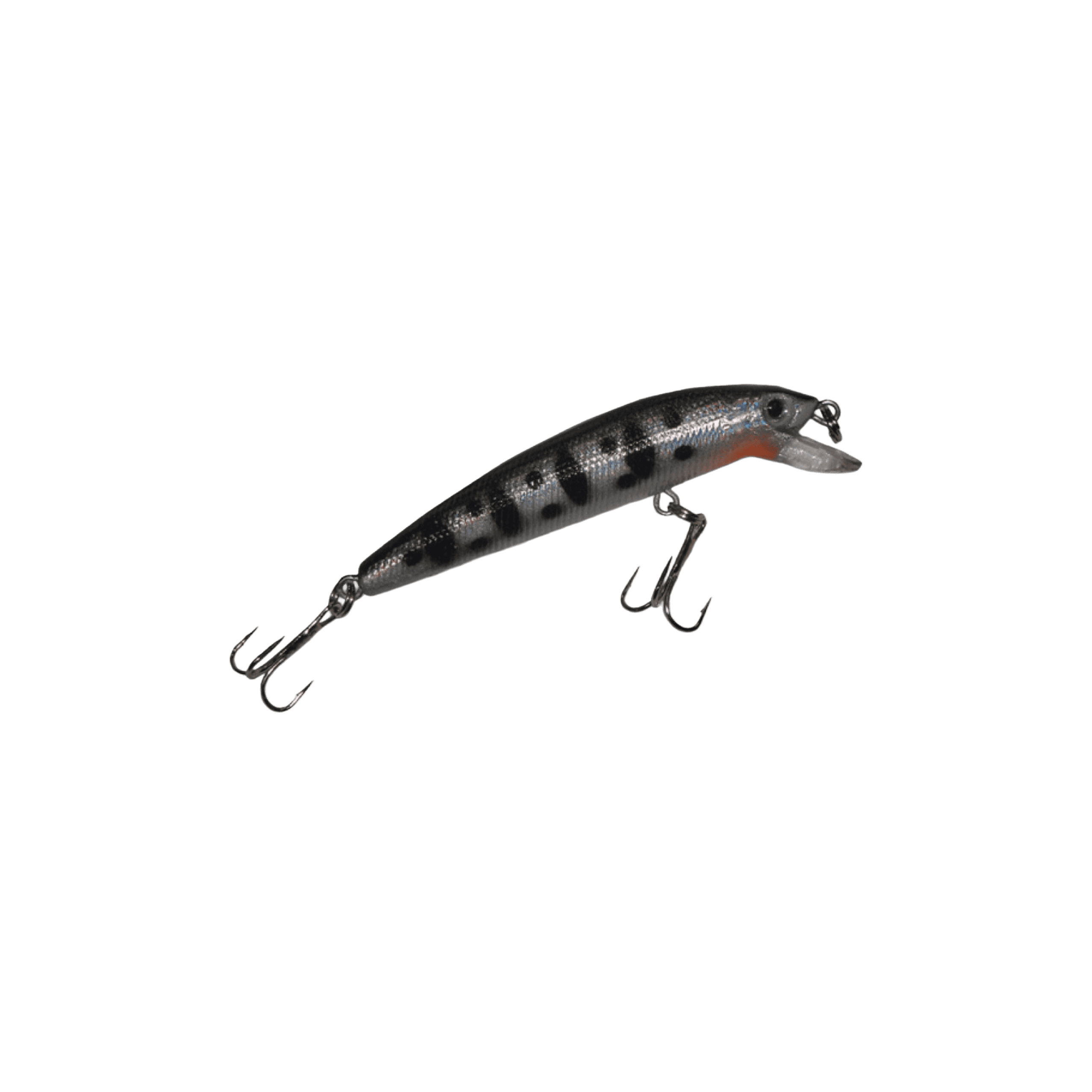 https://res.cloudinary.com/dtgnbfdei/image/upload/v1759193381/gallery/isca/ggqu6qc5zd0eq75nisha.png