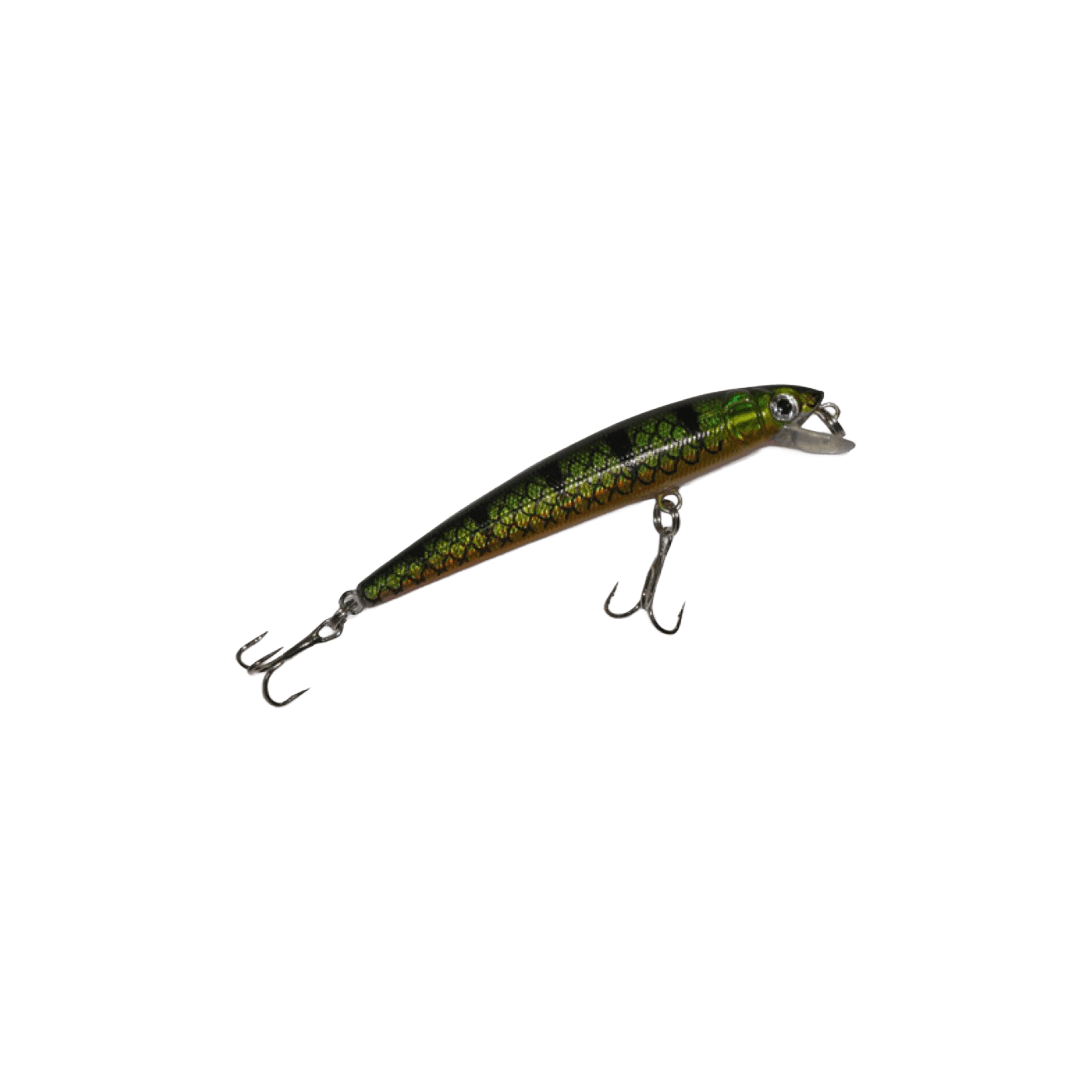 https://res.cloudinary.com/dtgnbfdei/image/upload/v1759193679/gallery/isca/y2jdf5vjtcgzfgu1wdpb.png