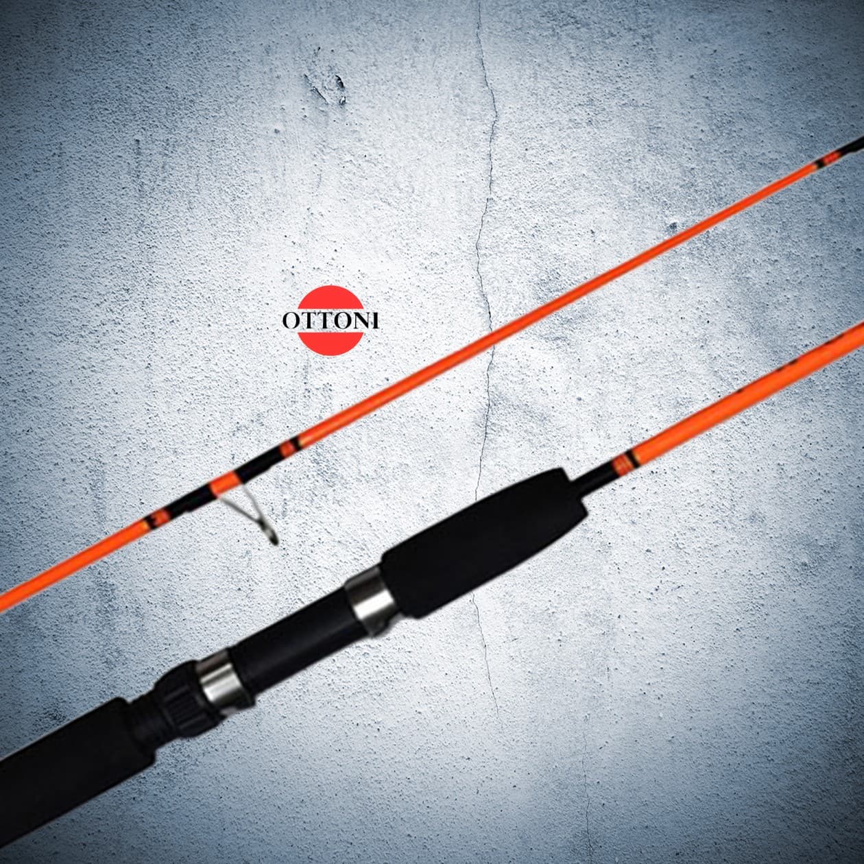 Vara (SRA) ROMA. 140/150/160